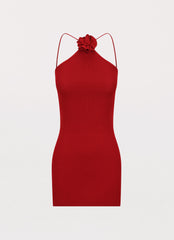Womens Delphi Rose Knit Mini Dress in the colour Rouge Red in front of a light grey background